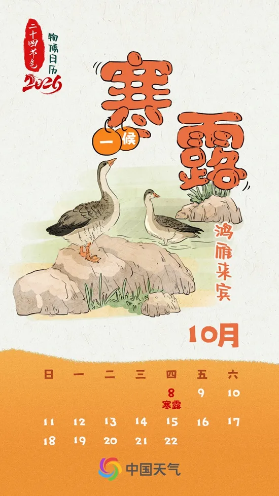 寒露秋色正浓 全国秋菊绽放地图看哪里“菊”势正好