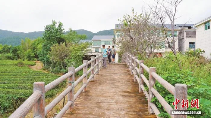 (乡村行·看振兴)福建清流岭官村:侨资侨智汇聚 蹚出振兴新路
